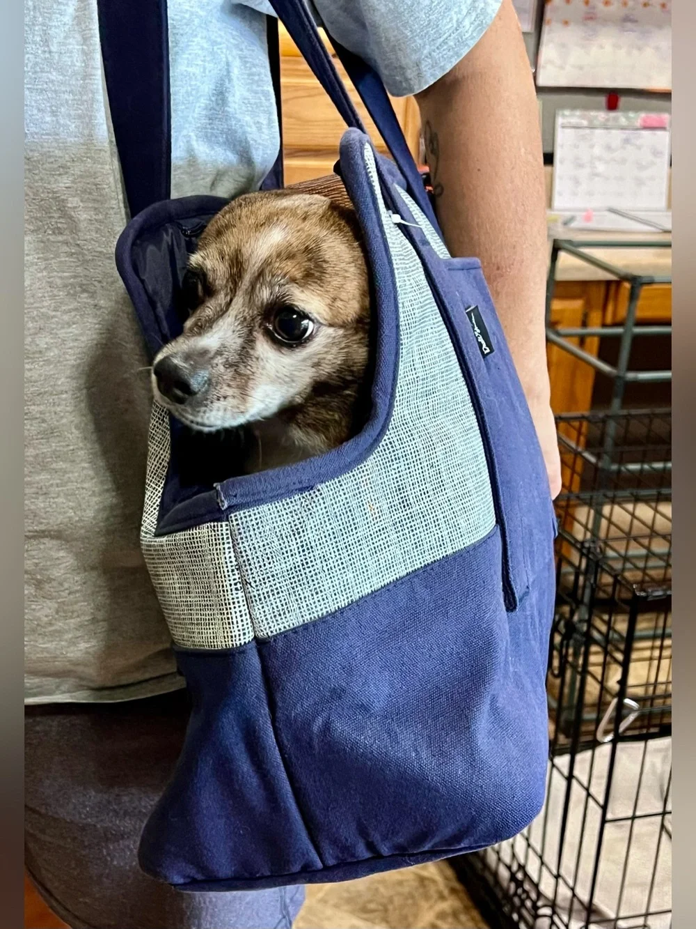 NEW WITHOUT TAGS—DwellStudio Pet Carrier Tote Bag
